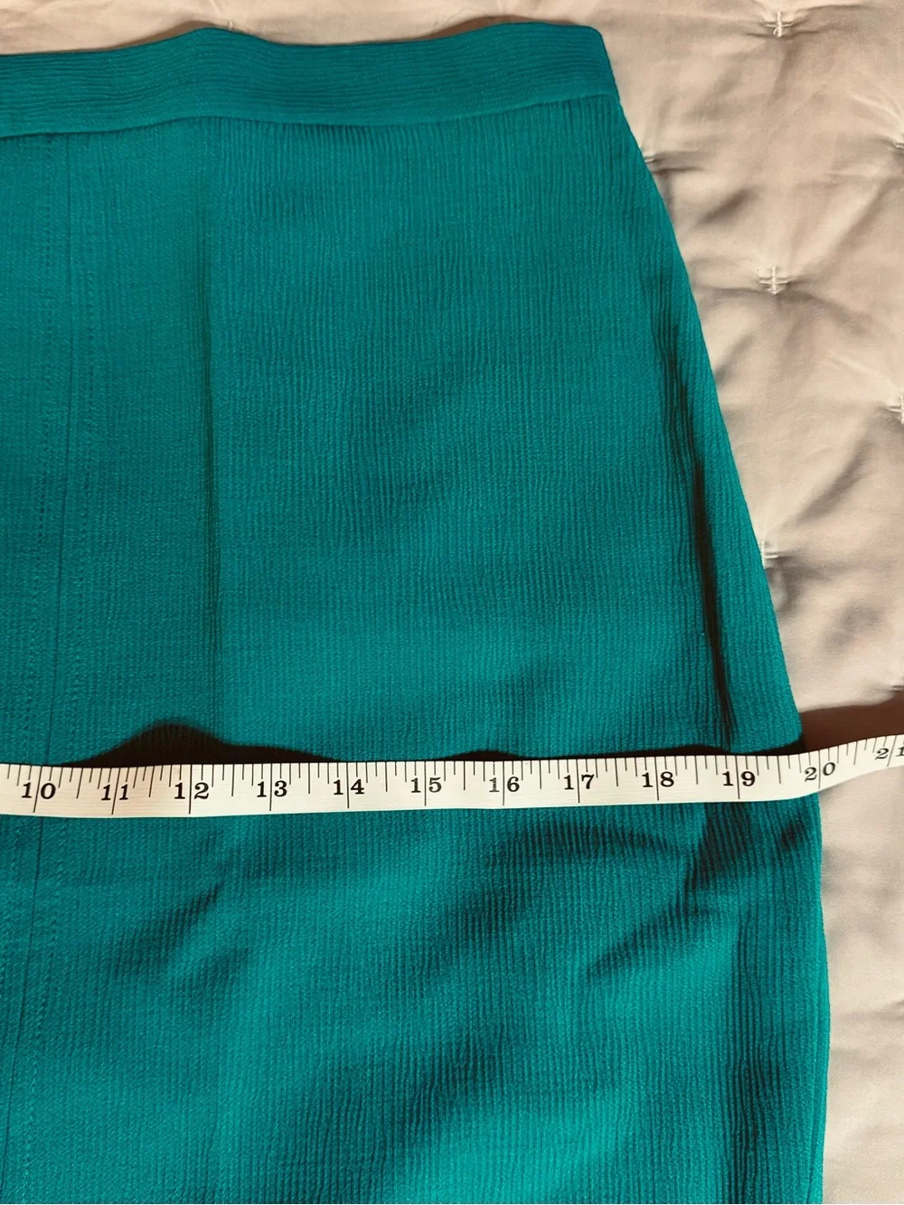 NWT Ann Taylor Pencil Skirt (8P)